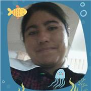 Amor a la sabiduría